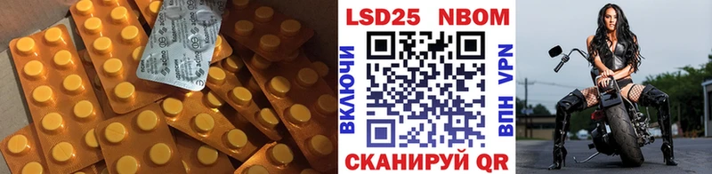 Купить  Муравленко  Лсд 25 экстази кислота 