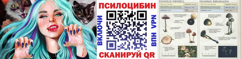 Галлюциногенные грибы мухоморы  Купить где  Муравленко 